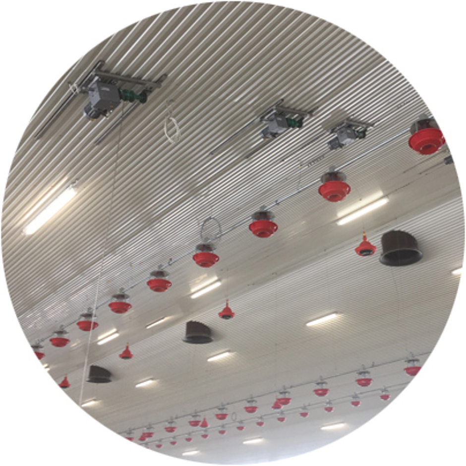 Feeding and watering systems