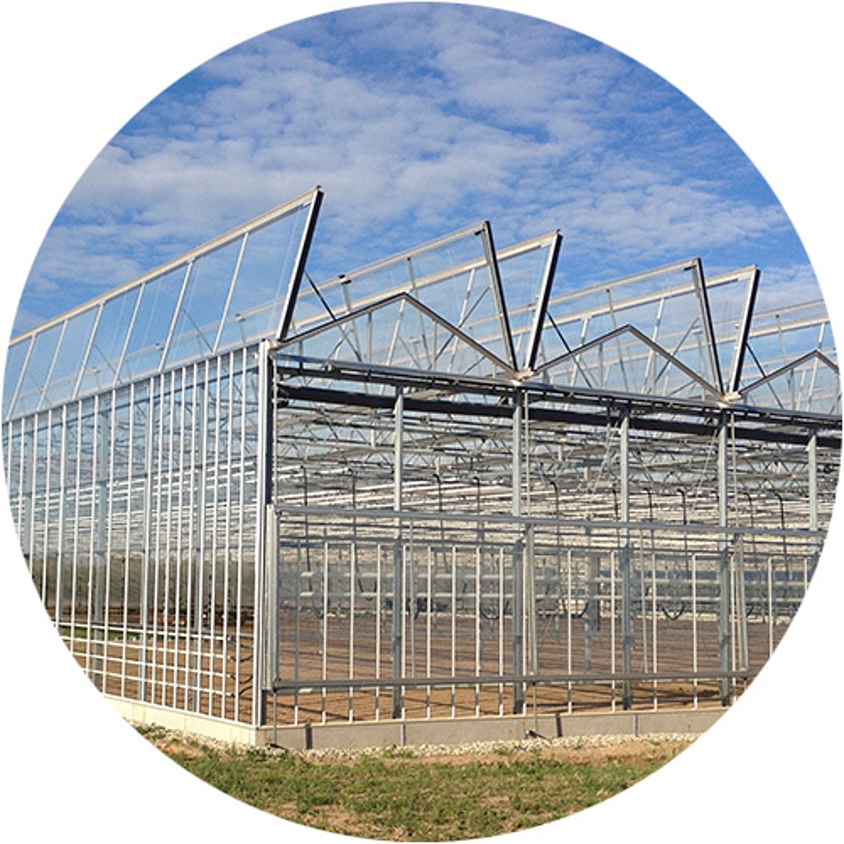 Gewächshaus MX4 mit geöffneter Cabrio-Lüftung von Lock