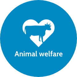 Bubble with icon for animal welfare